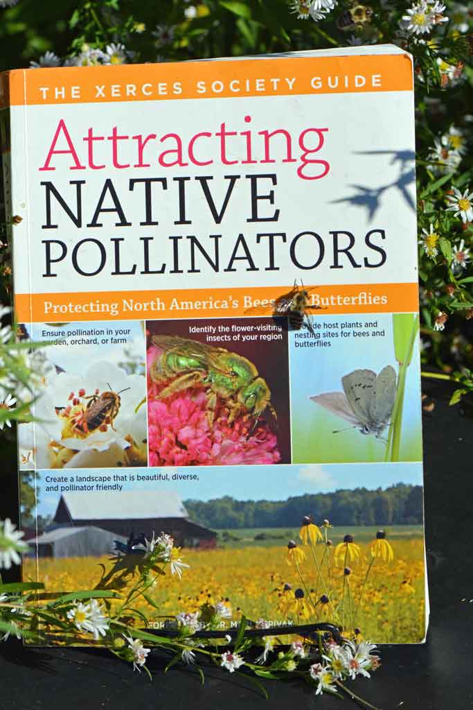 Excellent book on pollinators