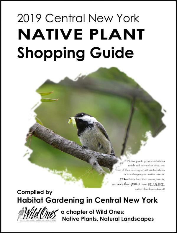 2019 Native Plant Shopping Guide