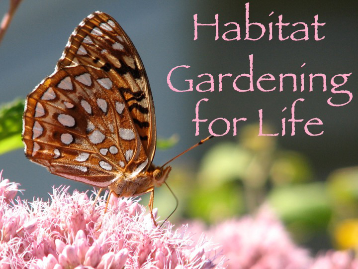 Habitat Gardening for Life Presentation