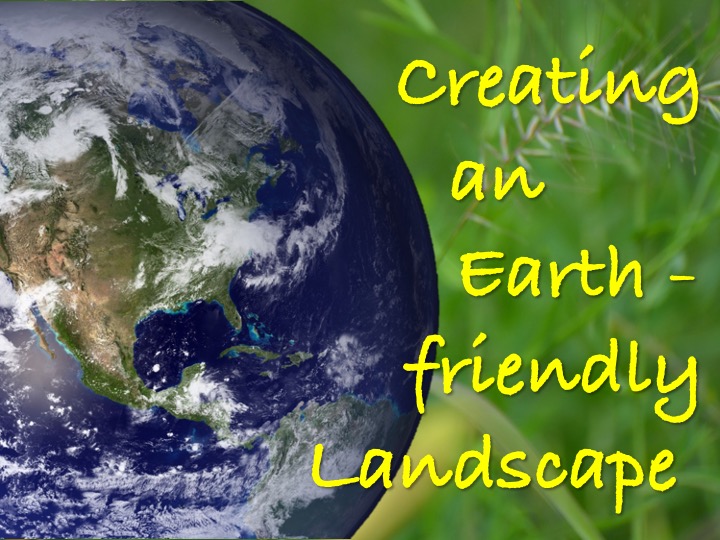 Earth-friendly yard presentation