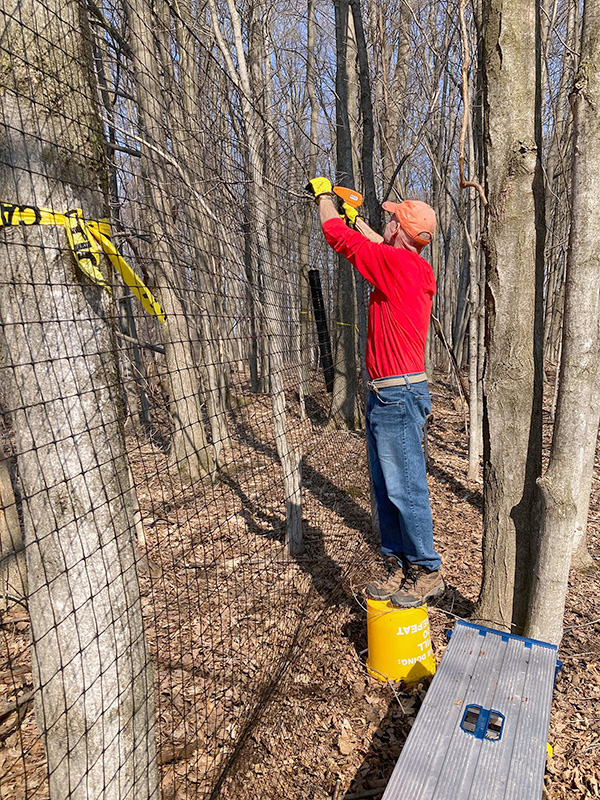 Installing fencing at Baltimore Woods ©John Allen
