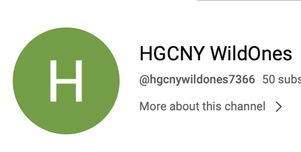 HGCNY YouTube channel