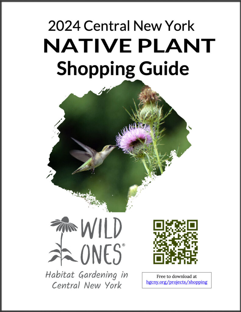 2024 Native Plant Shopping Guide